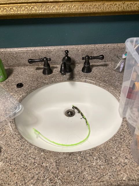 Sink Drain Cleaning